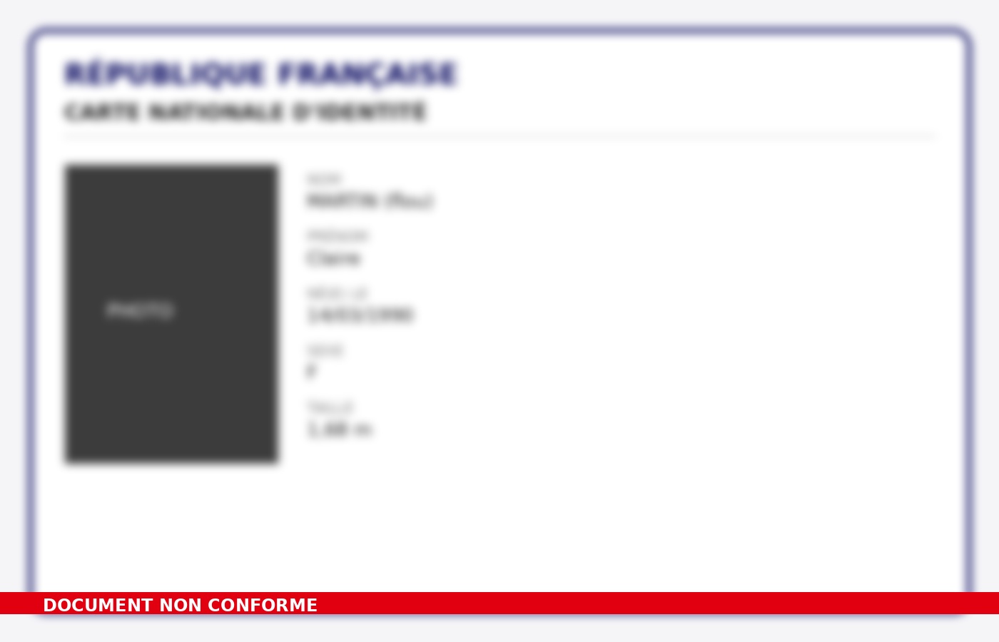 Exemple non conforme : photo floue